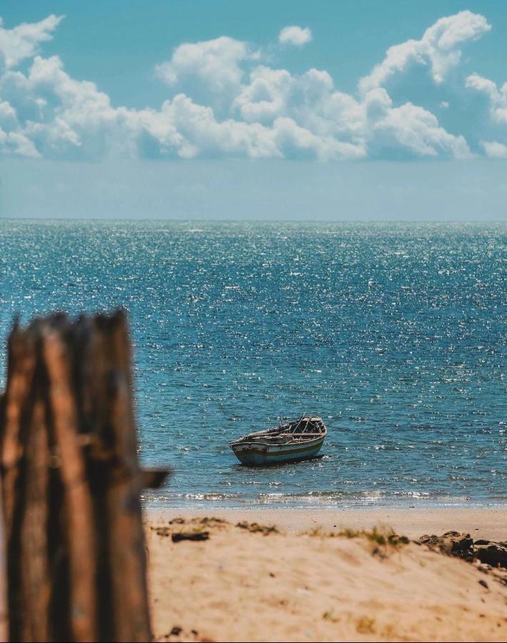 Ventos Do Norte